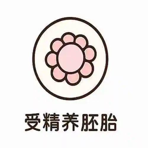 美国试管婴儿
