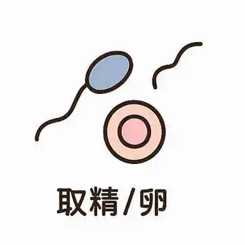 美国试管婴儿