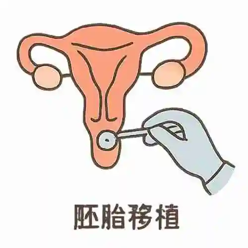 第三方辅助生殖