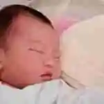美国代孕指南