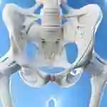 改善AMH的建议