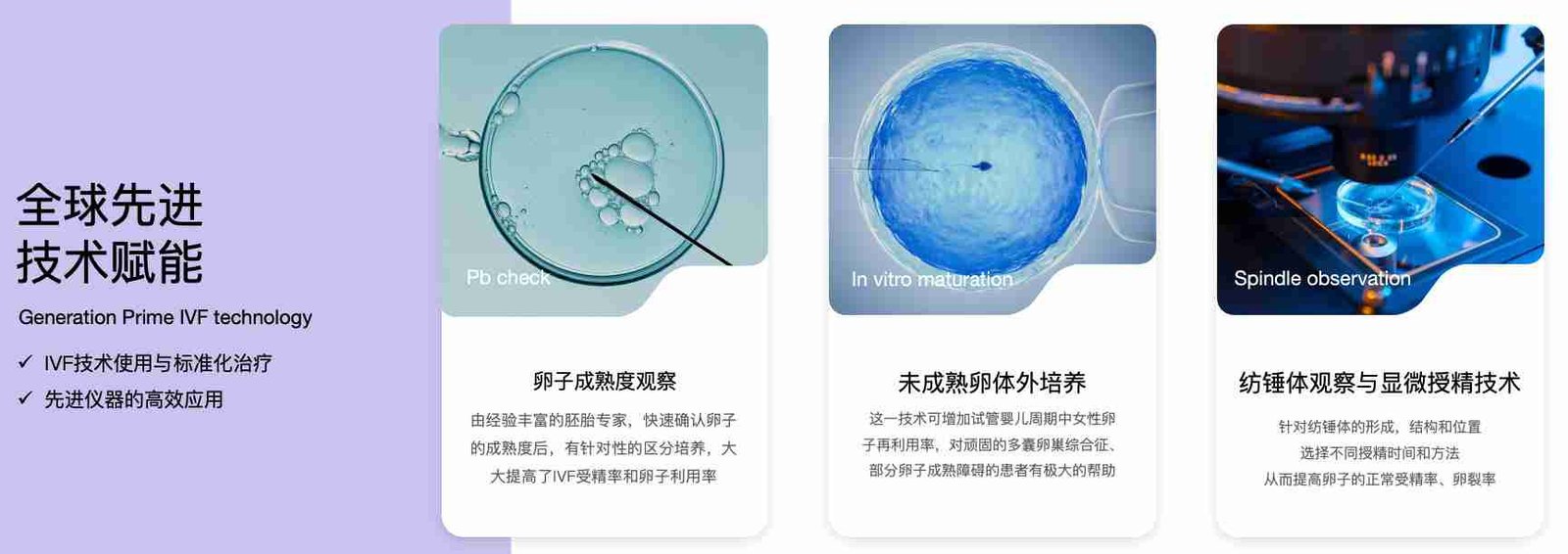 马来西亚试管婴儿