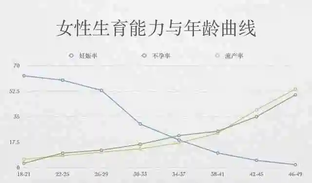 代孕网-女性生育率