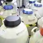 胚胎运输介绍